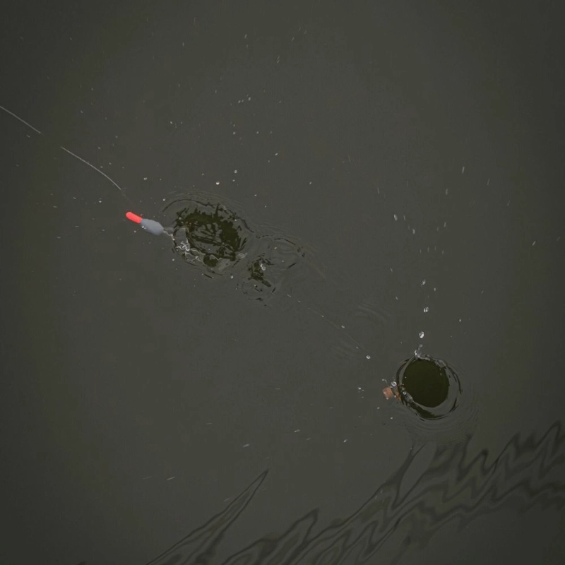 Matrix Plopper Pole Floats